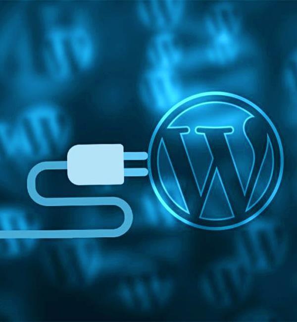 Restaurant Website WordPress Plugins